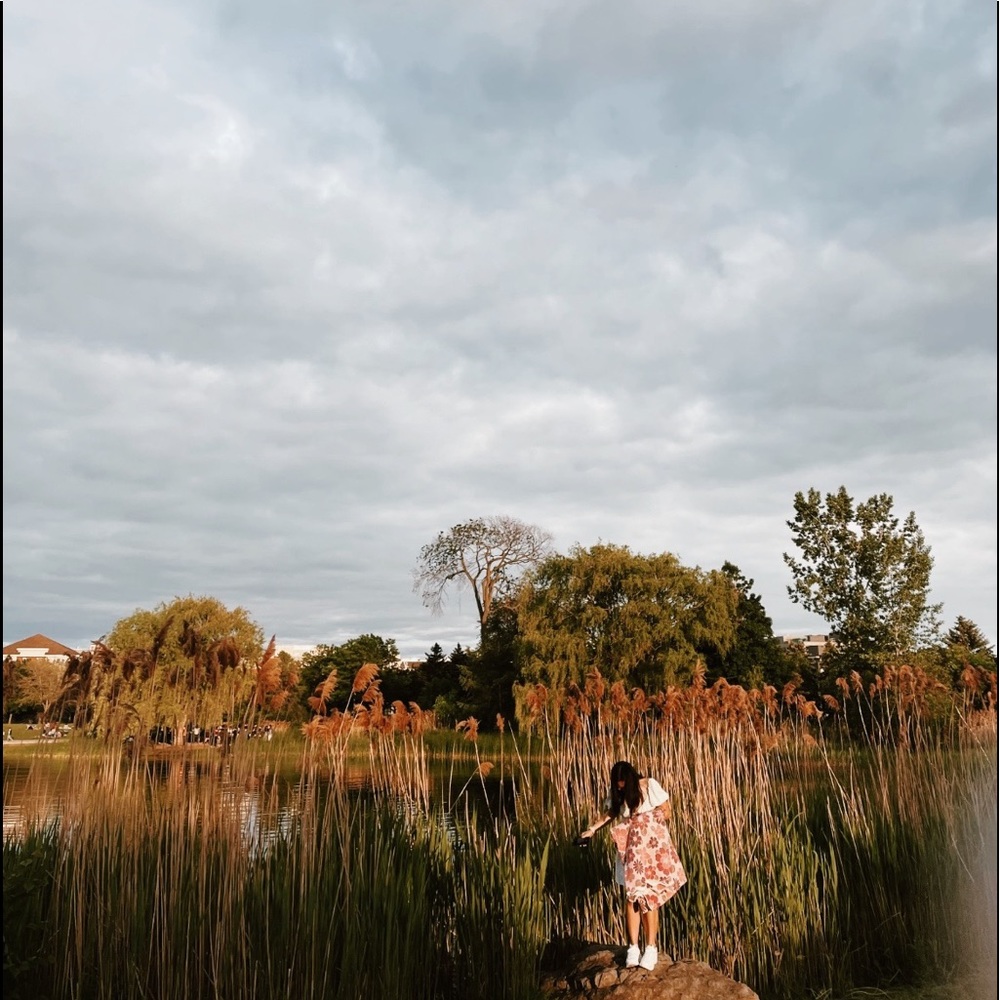 🧡🦋✨ WELCOME ✨🦋🧡 - Picture 4 of 7